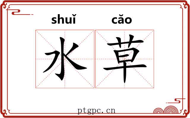 水草 水草