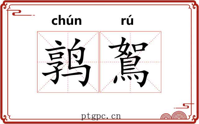 鹑鴽 鹑鴽