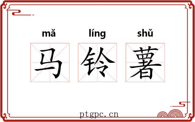 马铃薯