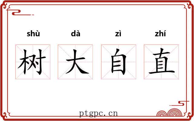 树大自直 树大自直