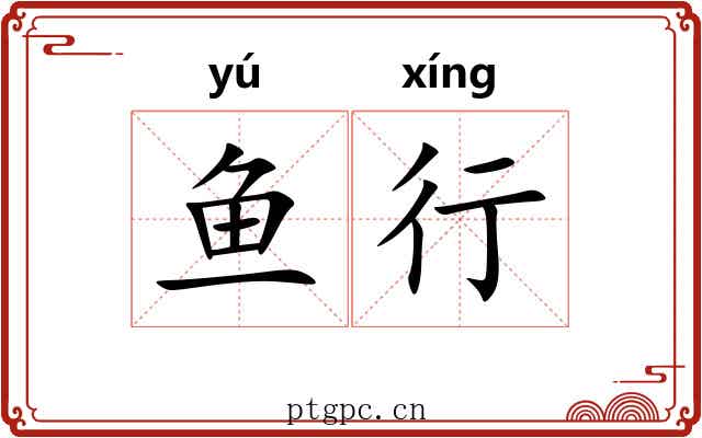 鱼行 鱼行