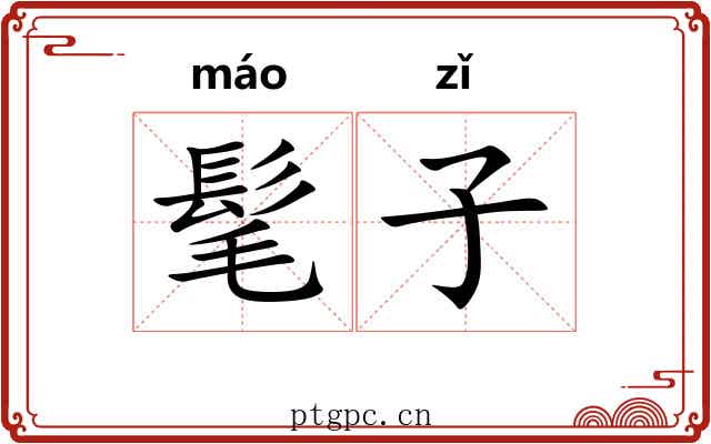 髦子 髦子