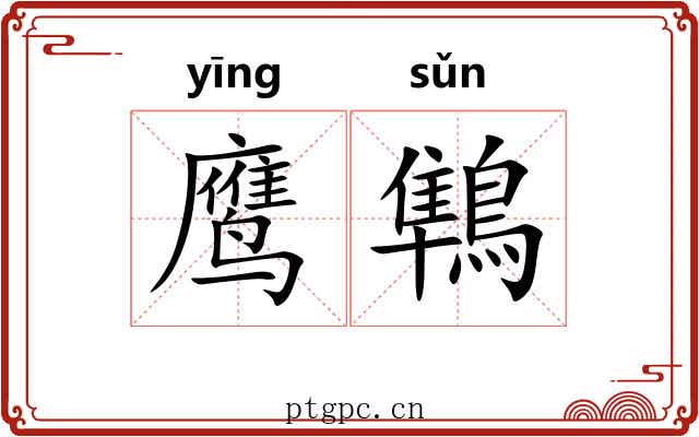 鹰鶽