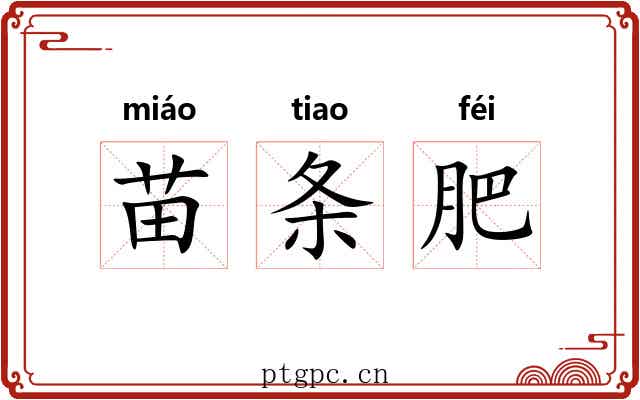 苗条肥 苗条肥