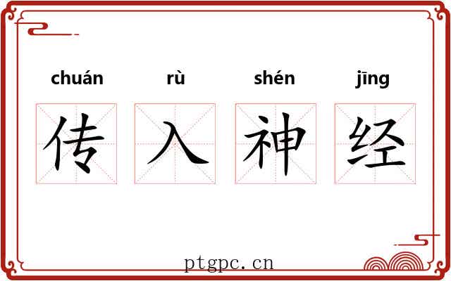 传入神经