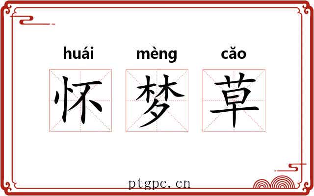 怀梦草 怀梦草