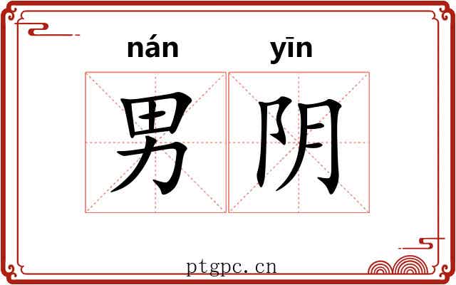 男阴 男阴