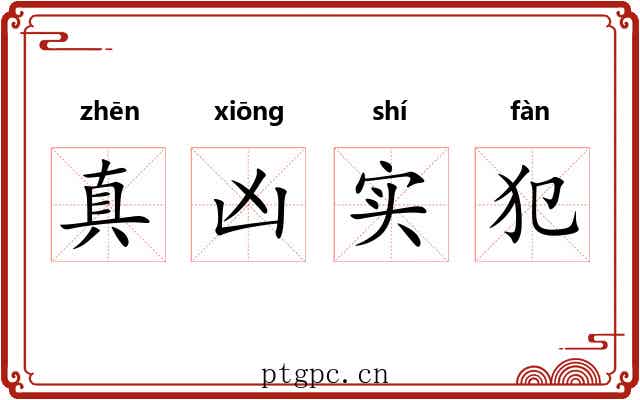 真凶实犯 真凶实犯