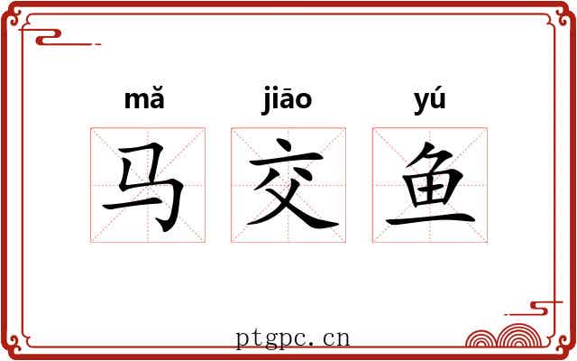 马交鱼 马交鱼