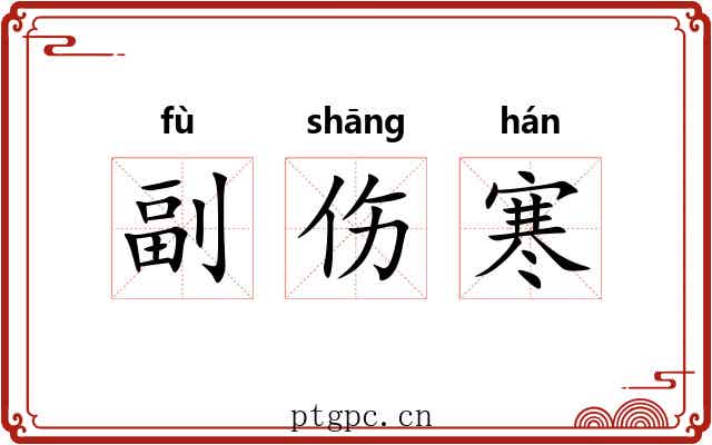 副伤寒 副伤寒