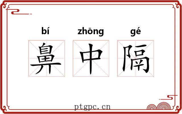 鼻中隔