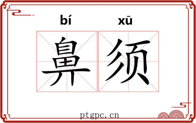鼻须