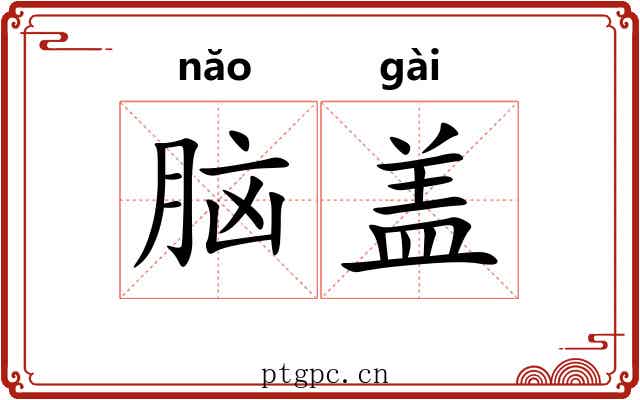 脑盖