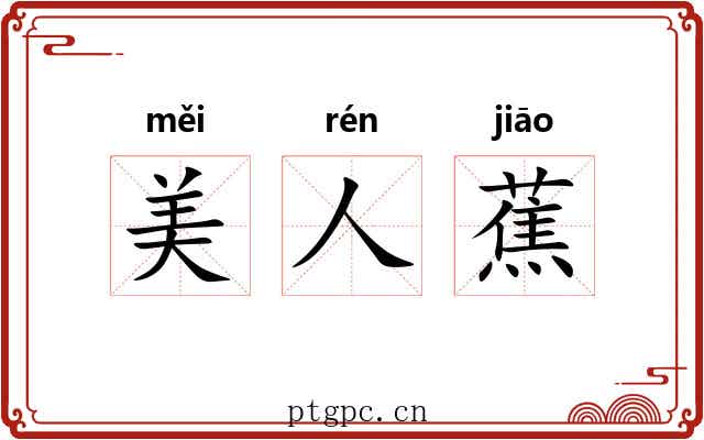美人蕉