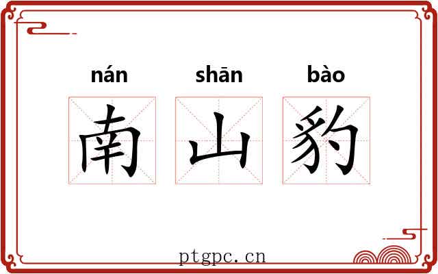 南山豹