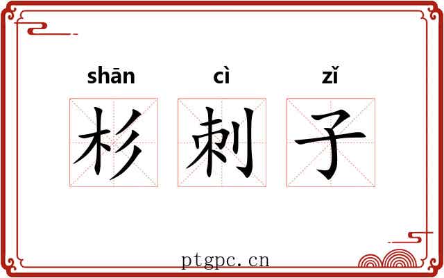 杉刺子 杉刺子