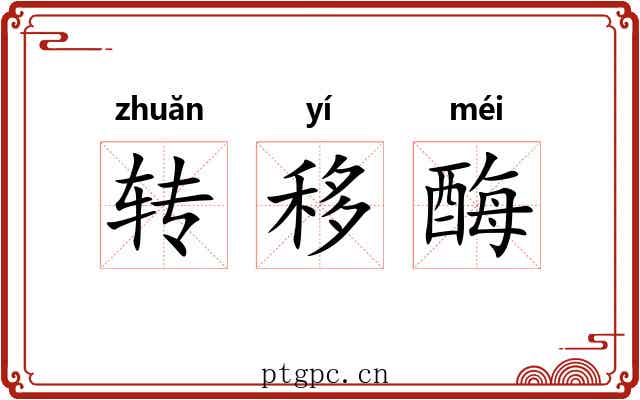 转移酶 转移酶
