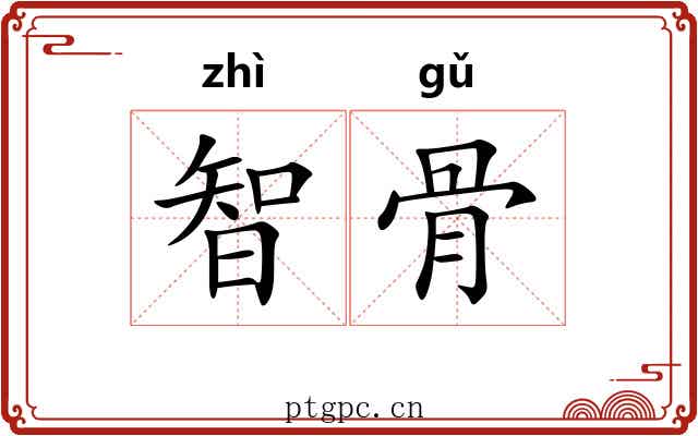 智骨 智骨