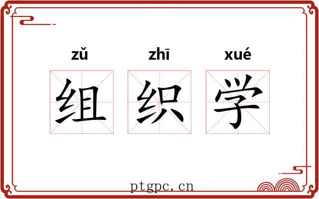 组织学 组织学