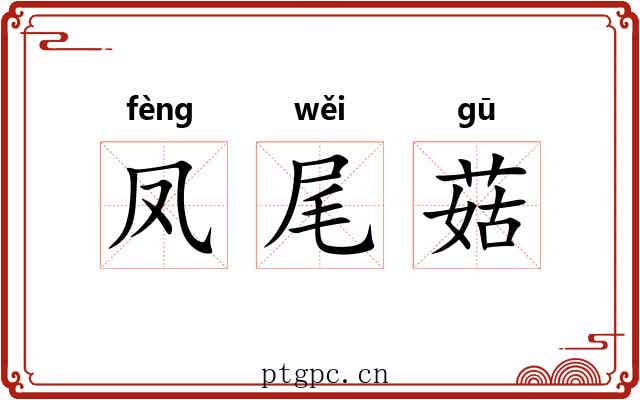 凤尾菇 凤尾菇