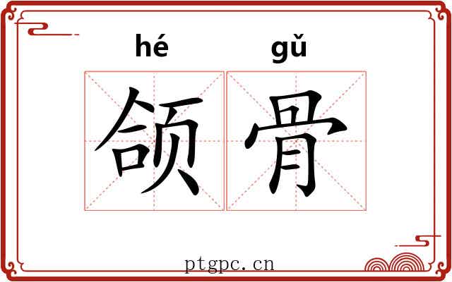 颌骨