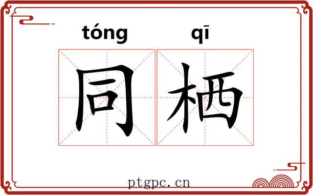 同栖 同栖