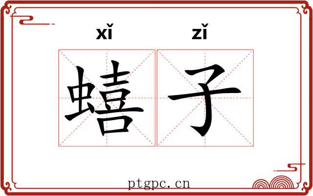 蟢子 蟢子