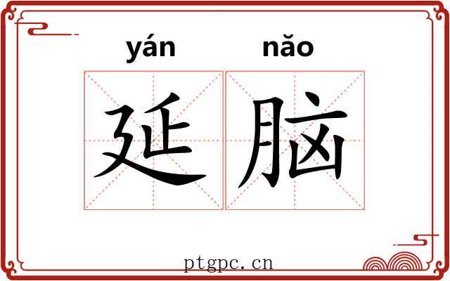 延脑 延脑
