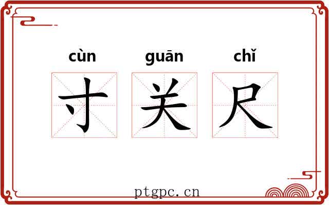 寸关尺 寸关尺