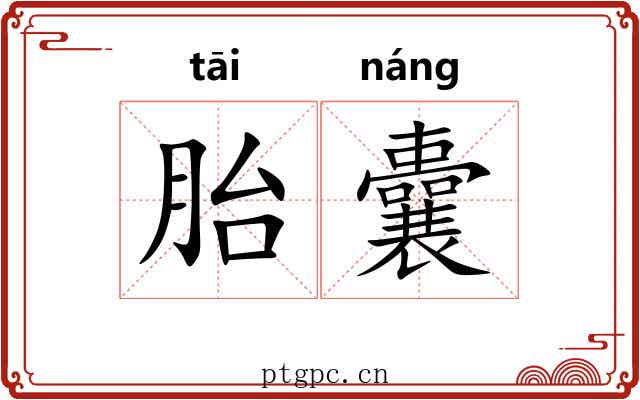 胎囊