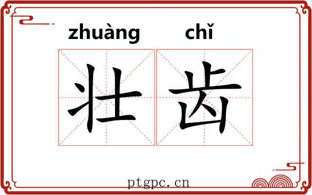 壮齿 壮齿