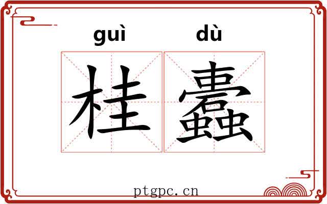 桂蠹