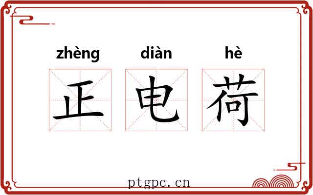 正电荷 正电荷