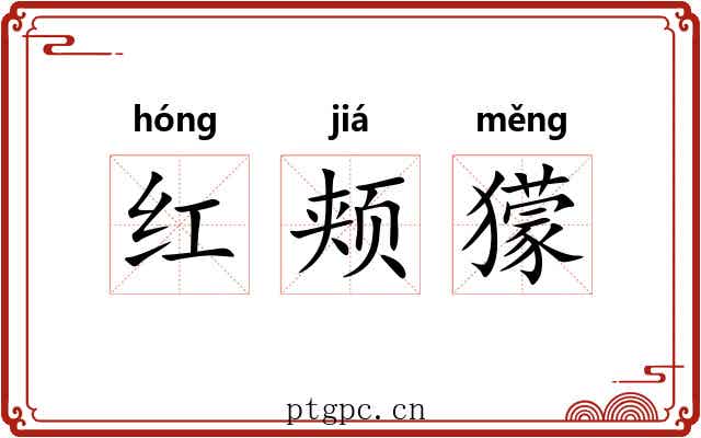 红颊獴