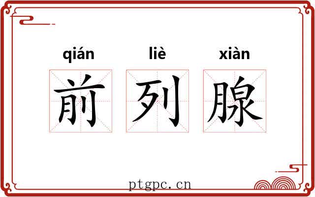 前列腺