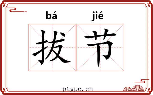 拔节