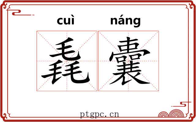 毳囊
