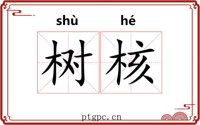 树核 树核