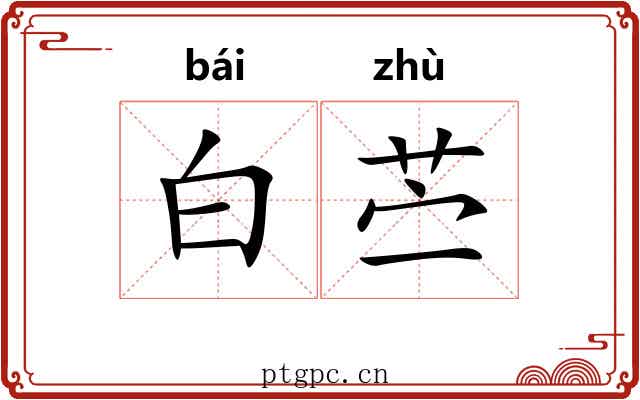 白苎 白苎