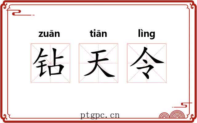 钻天令 钻天令