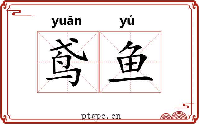 鸢鱼