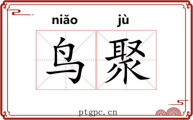 鸟聚