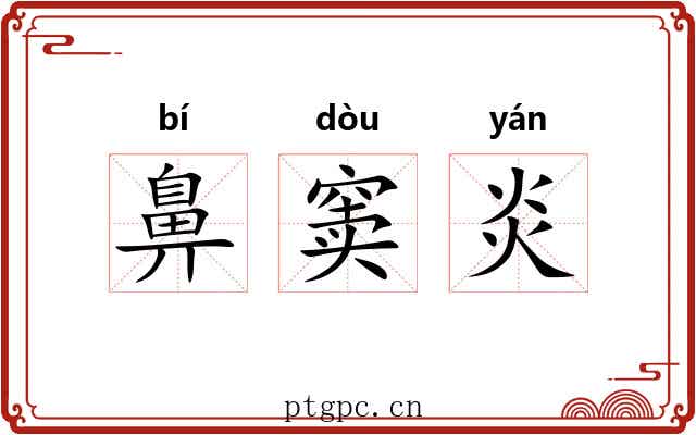 鼻窦炎 鼻窦炎