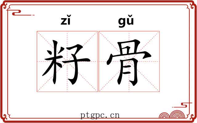 籽骨 籽骨