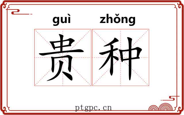 贵种 贵种