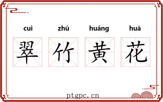 翠竹黄花 翠竹黄花