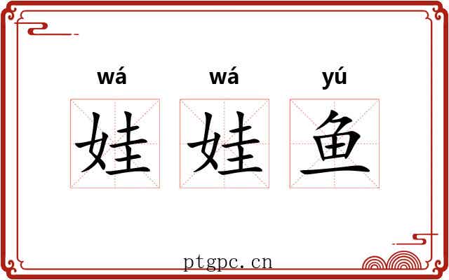 娃娃鱼
