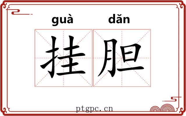 挂胆