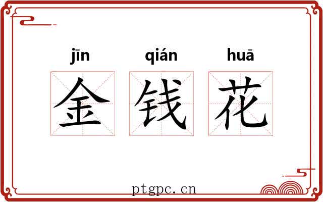 金钱花 金钱花