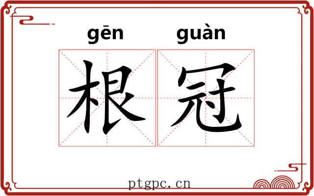 根冠 根冠